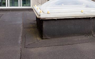 disadvantages of Balmacqueen flat roofs