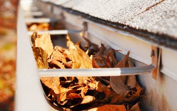 Balmacqueen gutter cleaning companies