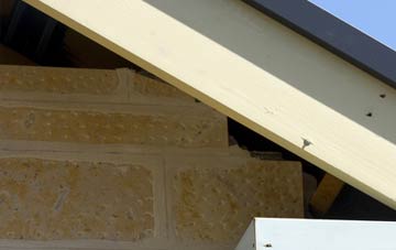 soffit repair Balmacqueen