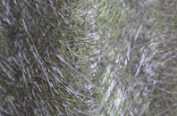 Balmacqueen fibreglass roof work